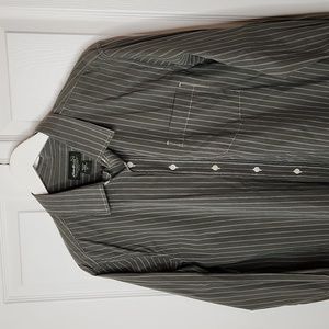 Men's Eddie Bauer 100% cotton button up shirt tall large sage green stripe